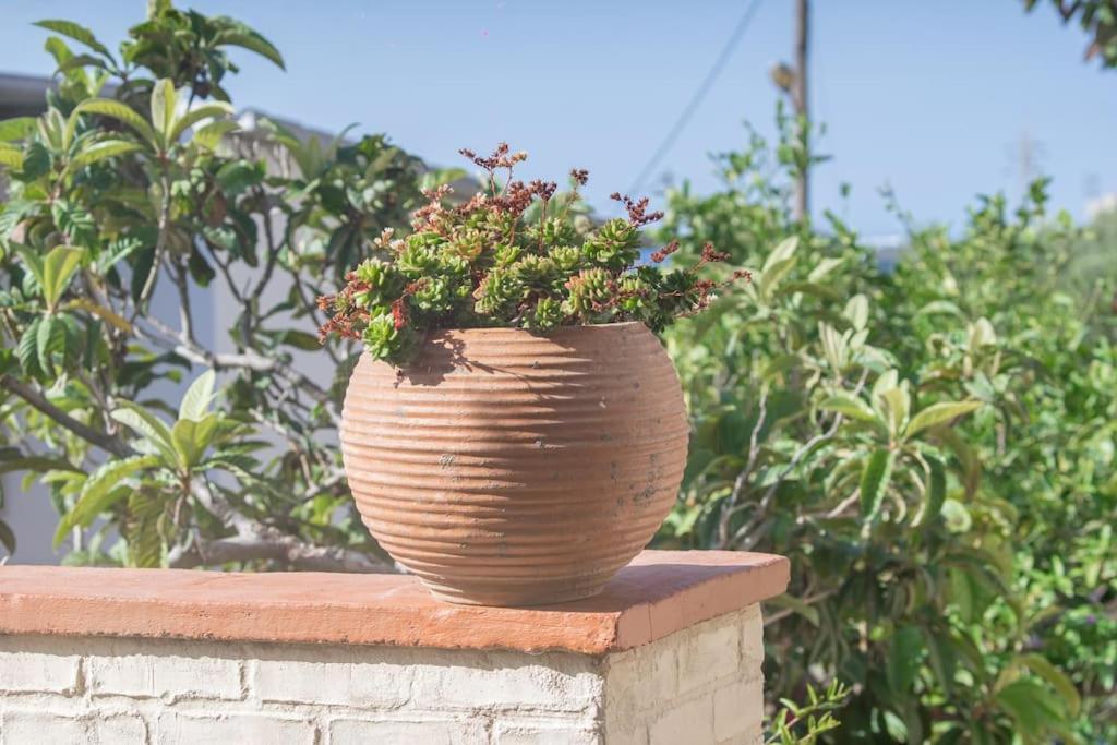 Mulberry Tree Villa Agios Nikolaos Exterior foto