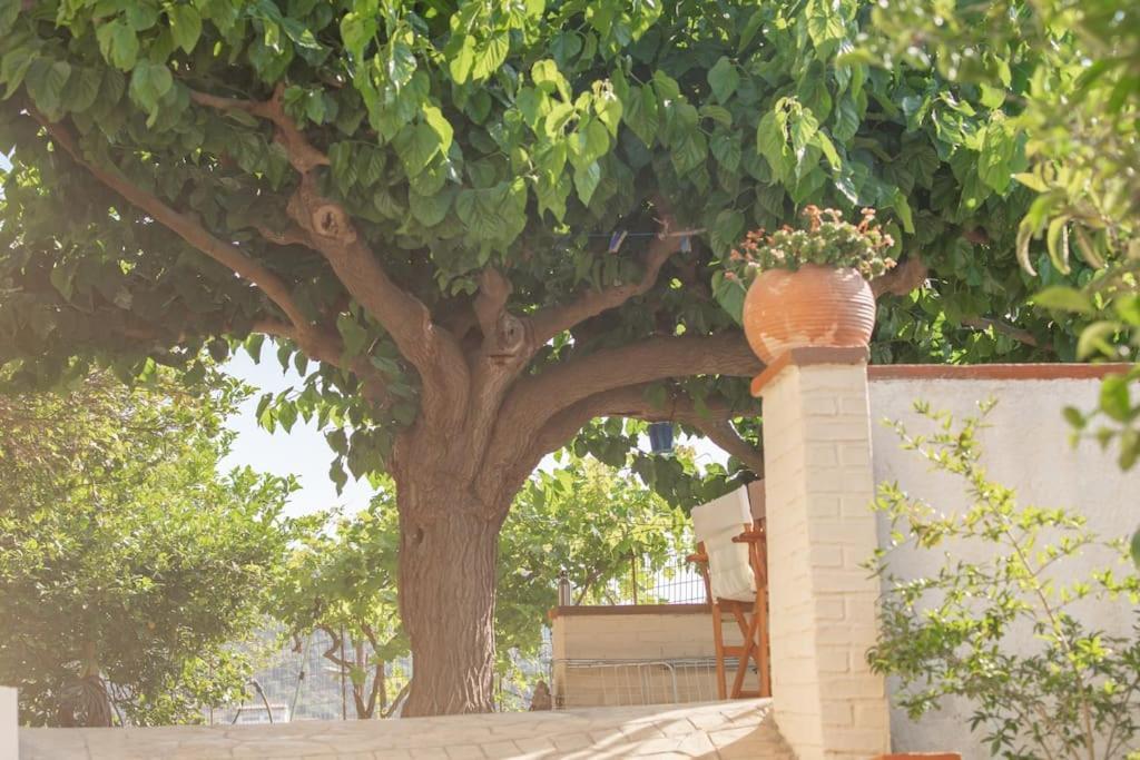 Mulberry Tree Villa Agios Nikolaos Exterior foto