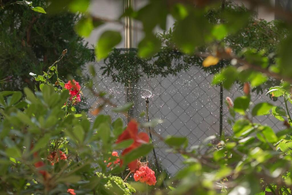 Mulberry Tree Villa Agios Nikolaos Exterior foto